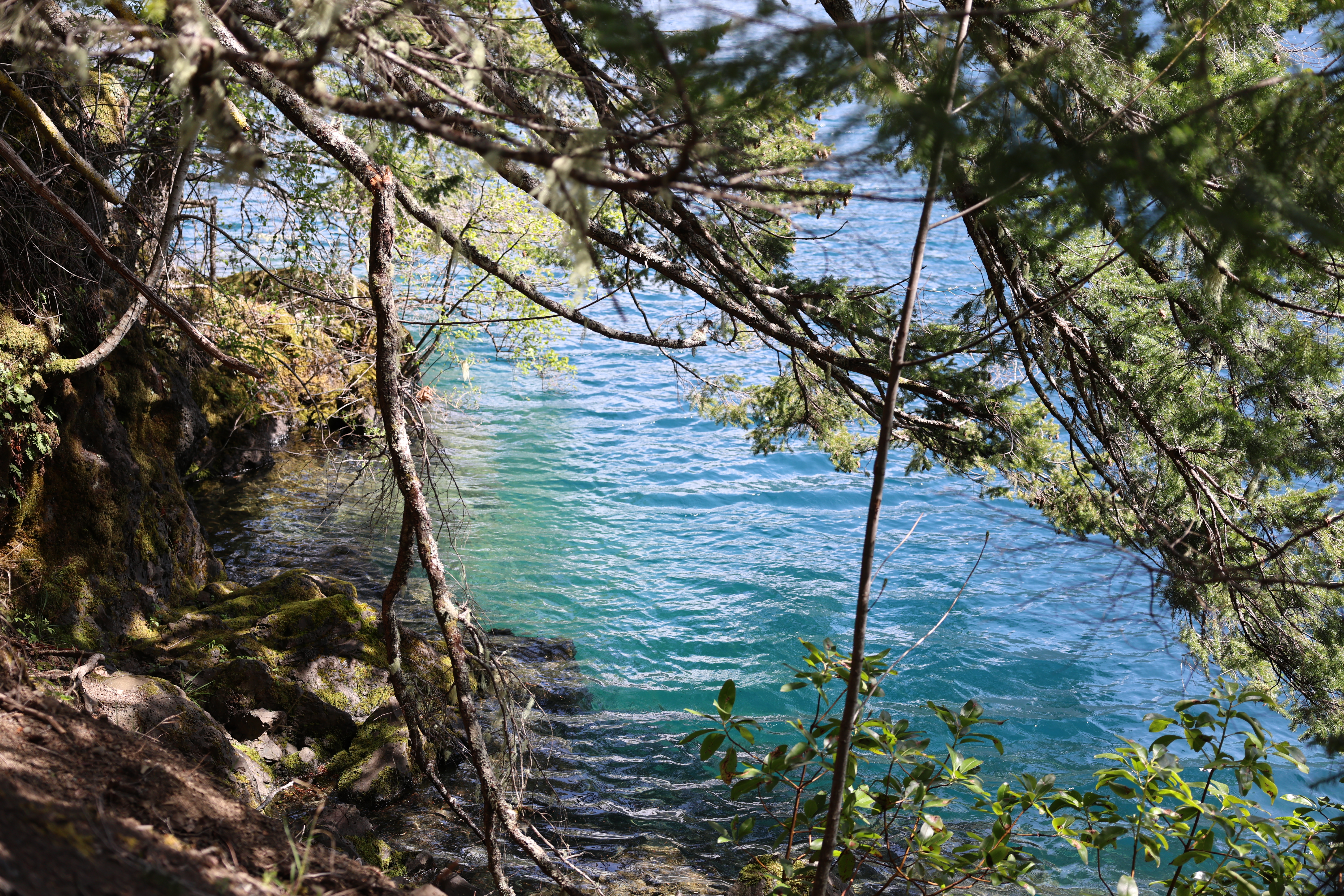 Olympic National Park